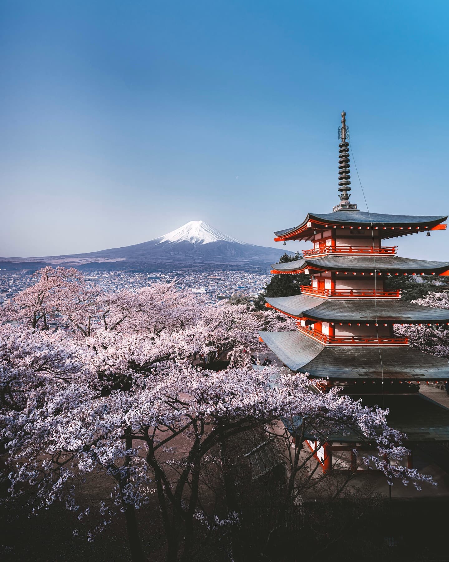 6N Japan Honeymoon packages from India – Tokyo, Osaka & Kyoto