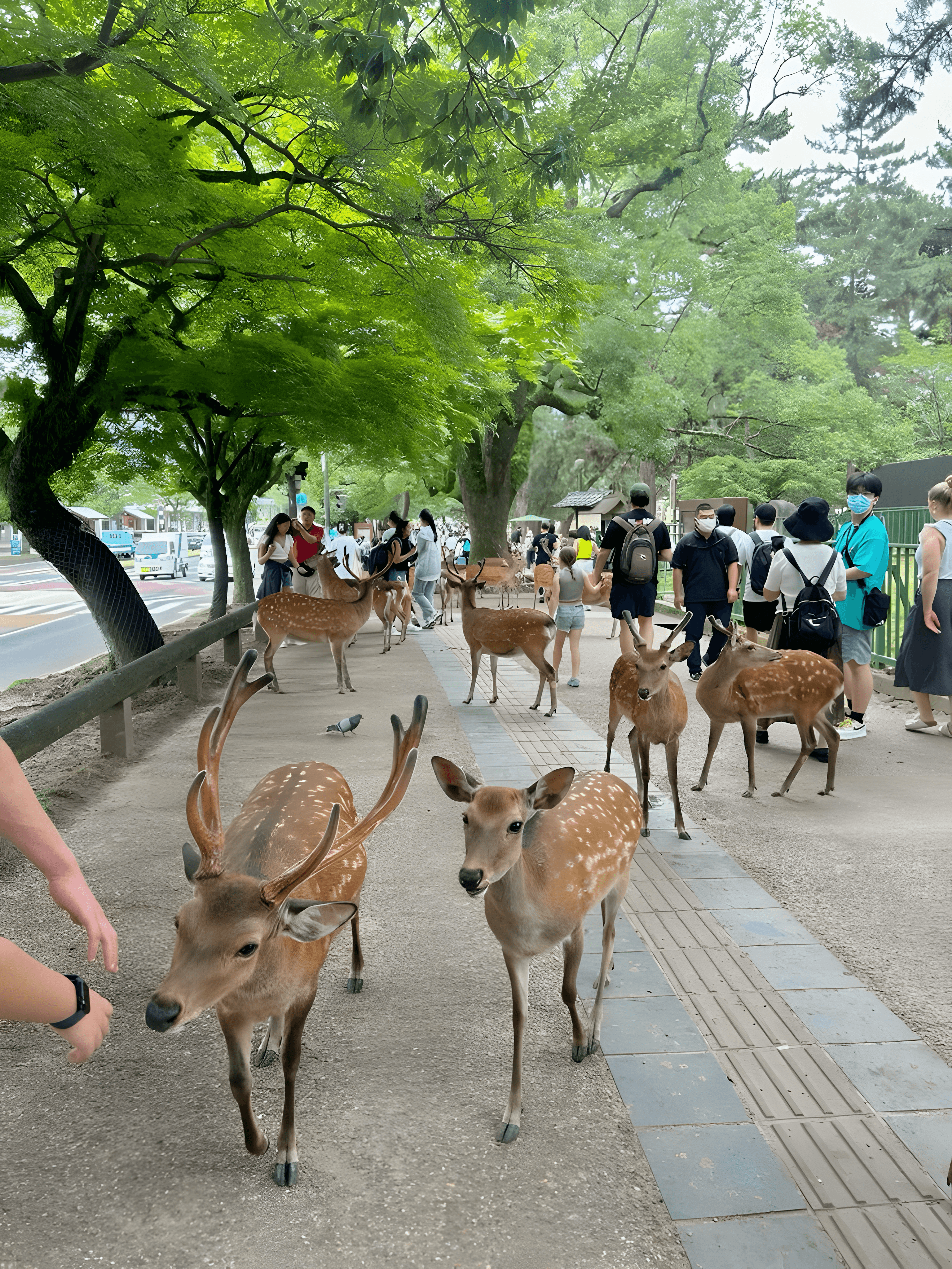 10N Japan tour package – Japan Grand Tour