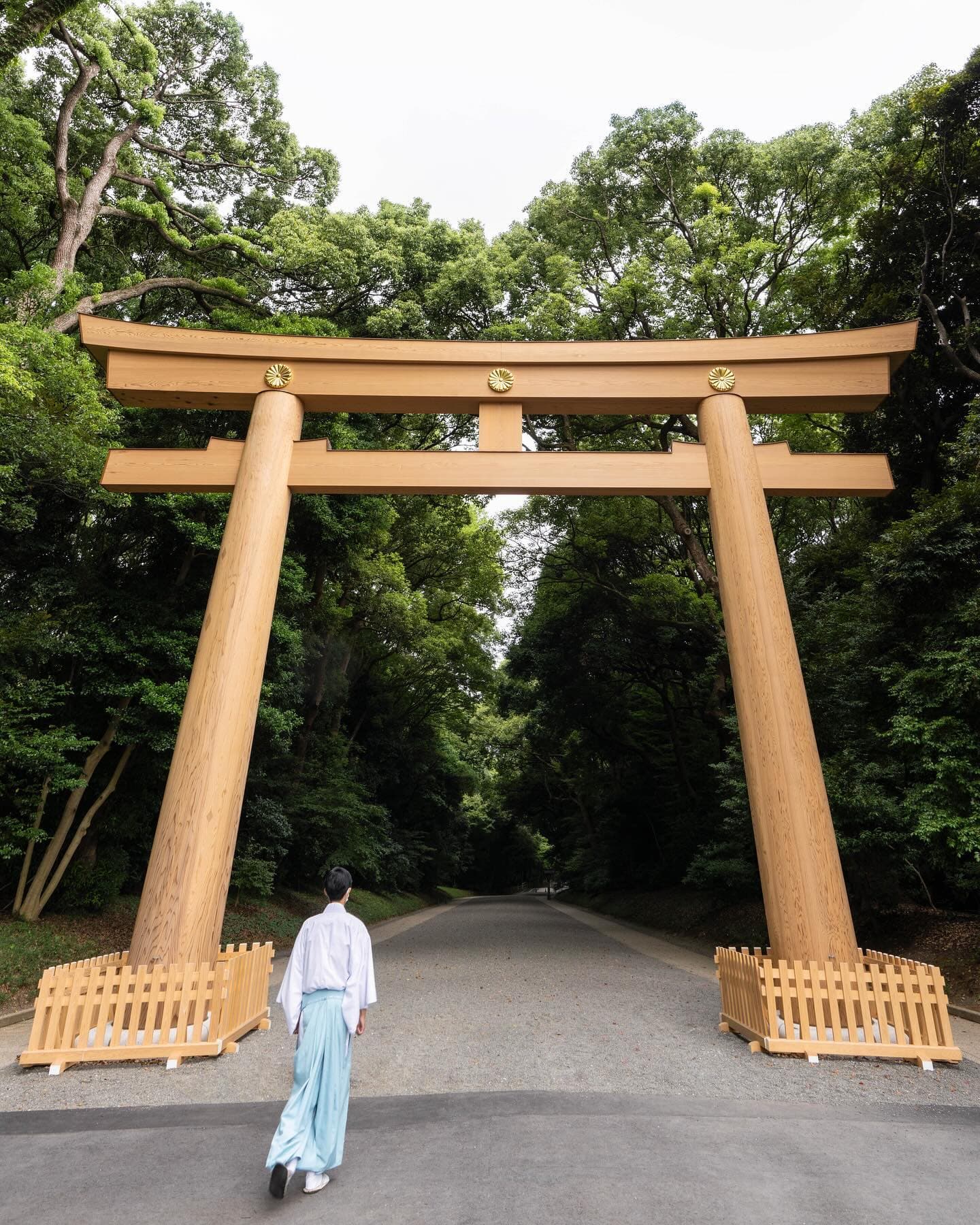 10N Cheap Japan tour package – Complete Japan Experience