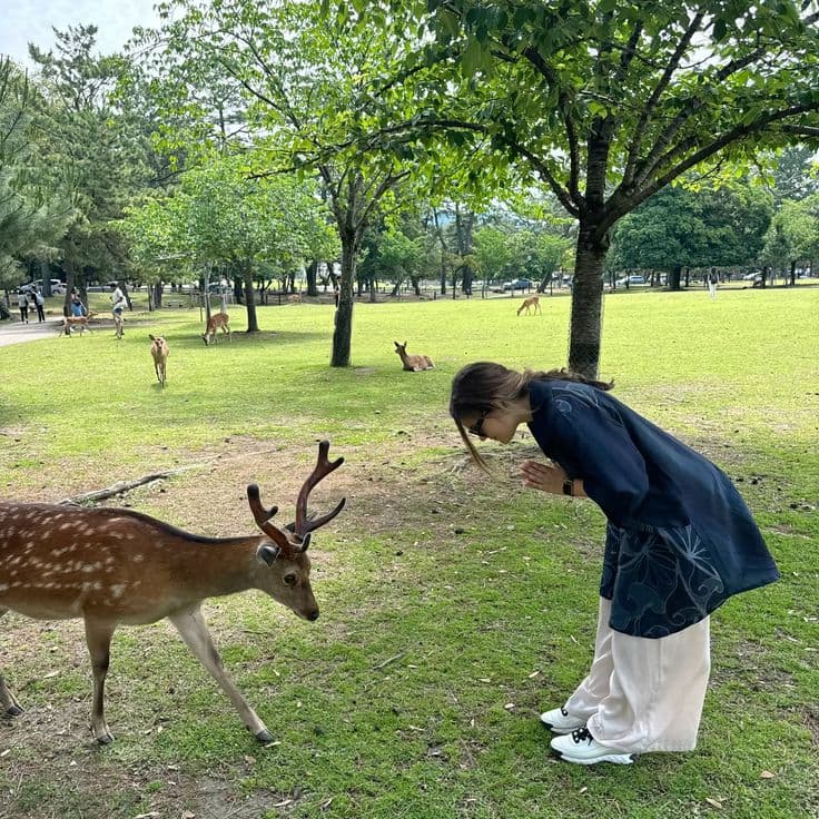 5N Japan holiday tour packages – Tokyo, Mt. Fuji, Osaka & Kyoto