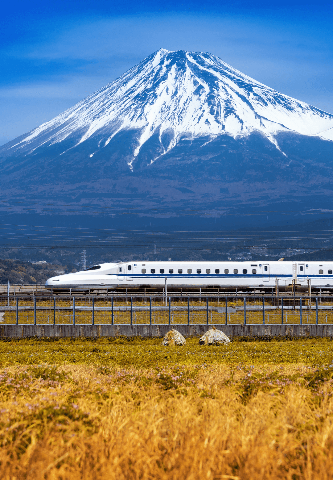 Shinkansen Ride