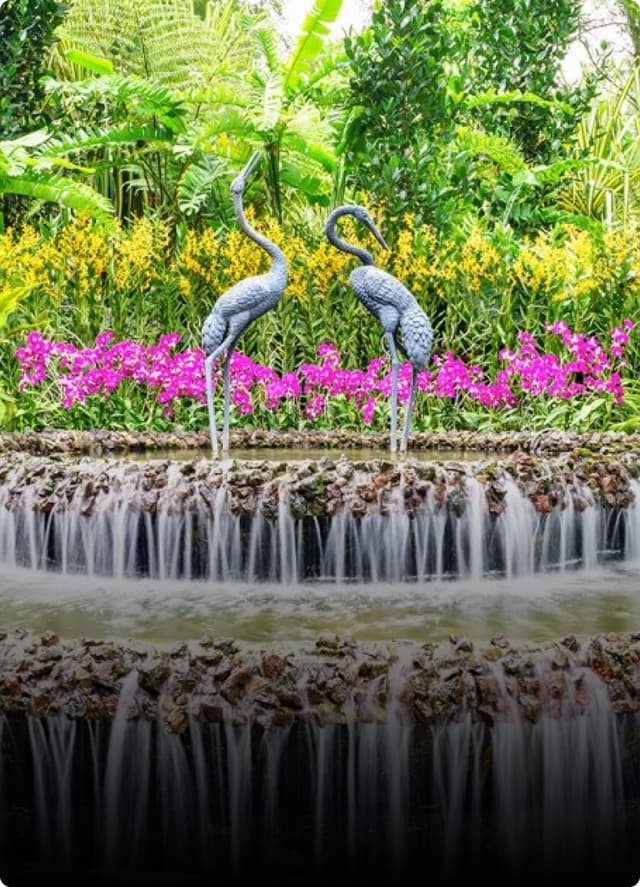 Singapore Botanic Gardens