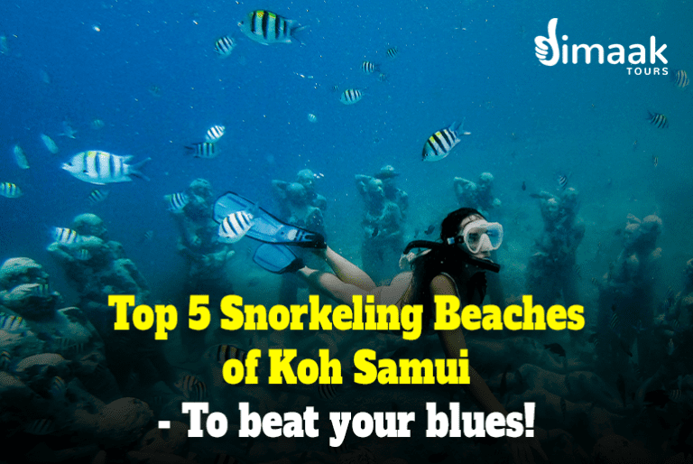 Top 5 Snorkeling Beaches of Koh Samui To beat your blues! Dimaak